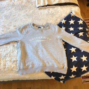  - En grå tröja som det står ” University -champions-” på. 