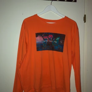 Longsleeve  - Använd fåtal gånger, snyggt om man vill liva upp outfiten!🧡