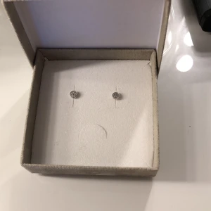 Guldfynd by Bianca örhängen - Örhängen i silver, aldrig använda däremot så är pluppen på baksidan borta.