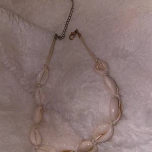 Snäckskalshalsband - Ett trendigt snäckhalsband med en fin gulddetalj