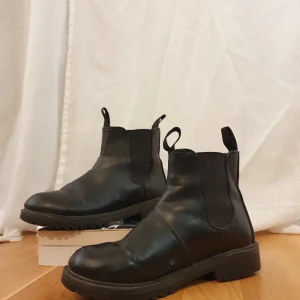 Höstskor - Höstskor, lite slitna men fullt fungerande. Endast utsidan som har lite slit- se bild. (Frakt tillkommer)