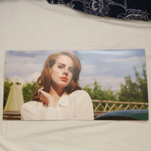  - LANA DEL REY - BORN TO DE vinyl. 2 discs. 120 kr + shipping ❤️