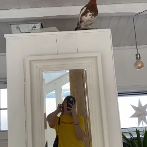 Tröja - Säljer denna tröja då jag inte har någon användning av den, den är i jätte bra skick då den bara använts några enstaka gånger.😊