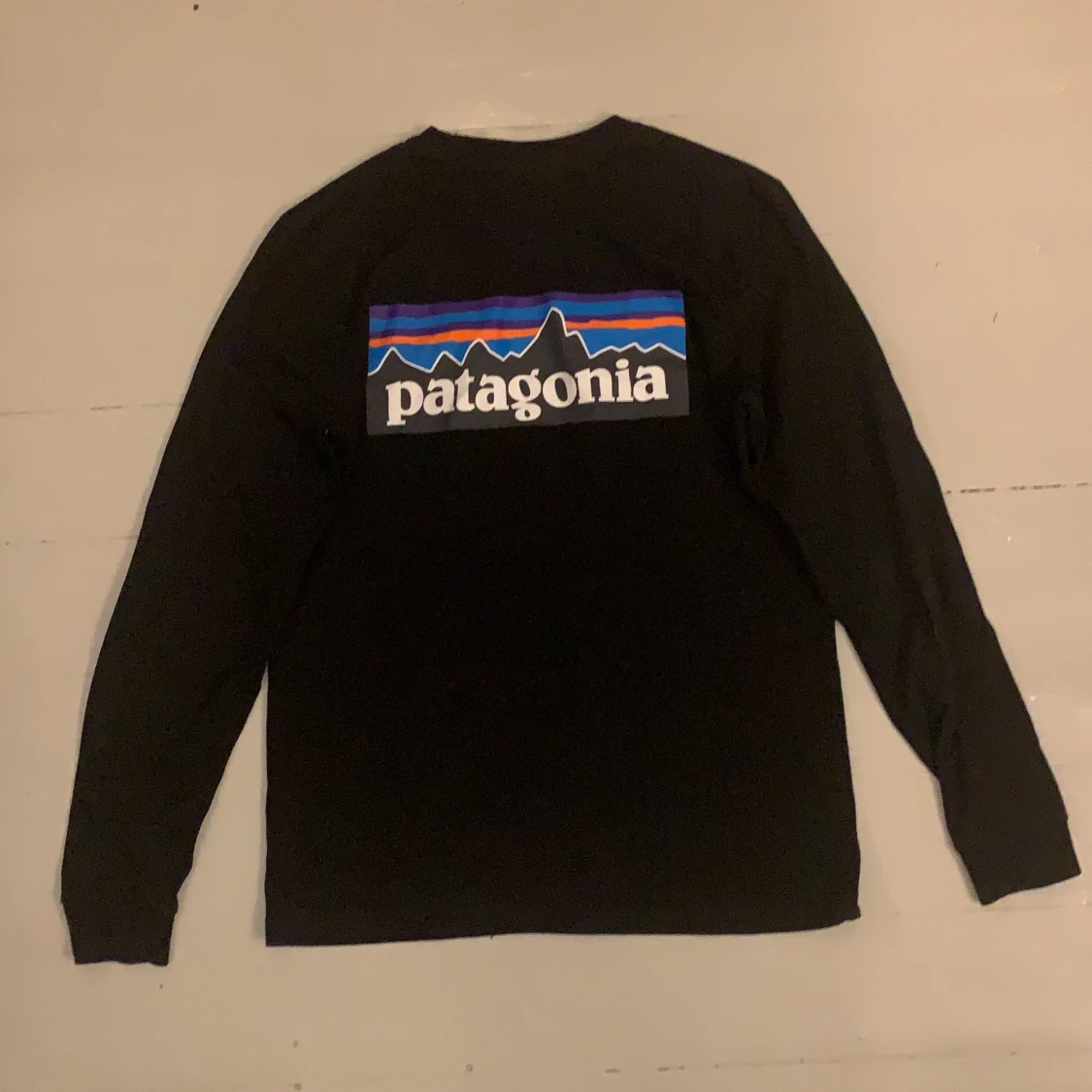 Patagonia longsleeve