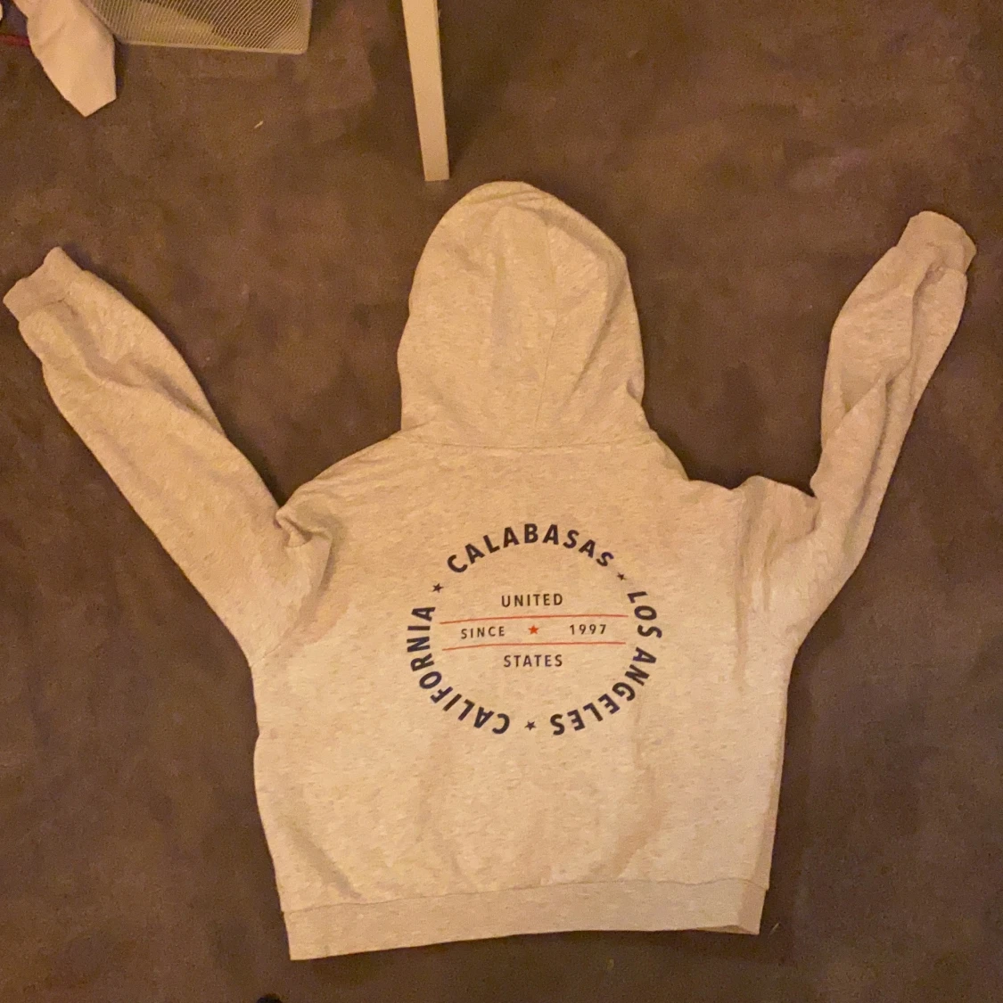 En helt vanlig hoodie i storlek xs  - 91