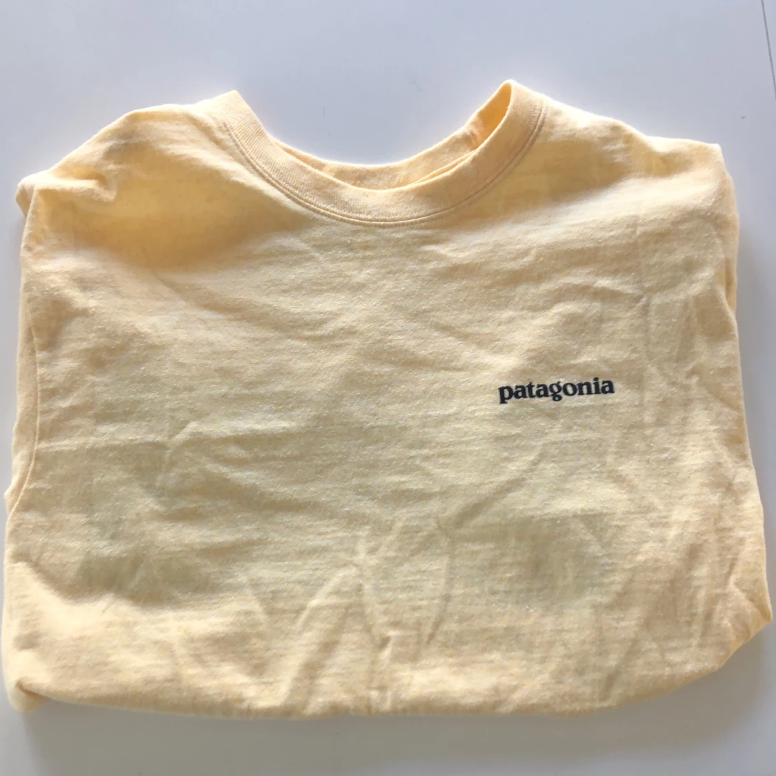 Pantagonia t-shirt