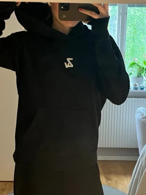 Zadig&Voltaire hoodie med tryck  - Super snygg hoodie med snyggt tryck på ryggen från Zadig! Väl använd men inget trasigt och inga fläckar! 