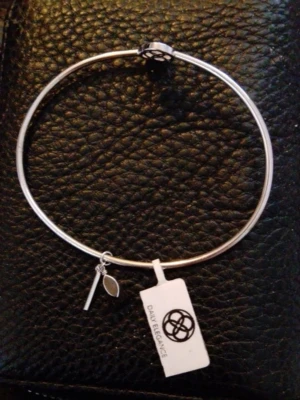 Silverfärgat armband Daily Elegance - Stilrent armband i silverfärgad metall från Daily Elegance. Armbandet är stelt och har två små hängen, ett avlångt och ett bladformat. Perfekt accessoar för att lyfta din outfit.