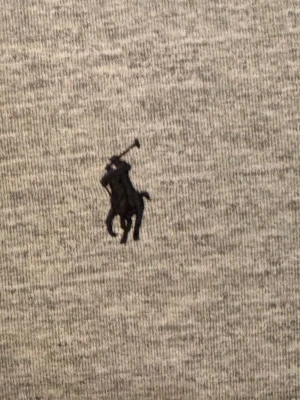 Grå tröja från Polo Ralph Lauren - Snygg grå tröja från Polo Ralph Lauren med klassisk broderad logga på bröstet. Tröjan är tillverkad i mjukt material och har en enkel, stilren design som passar perfekt till jeans eller chinos.