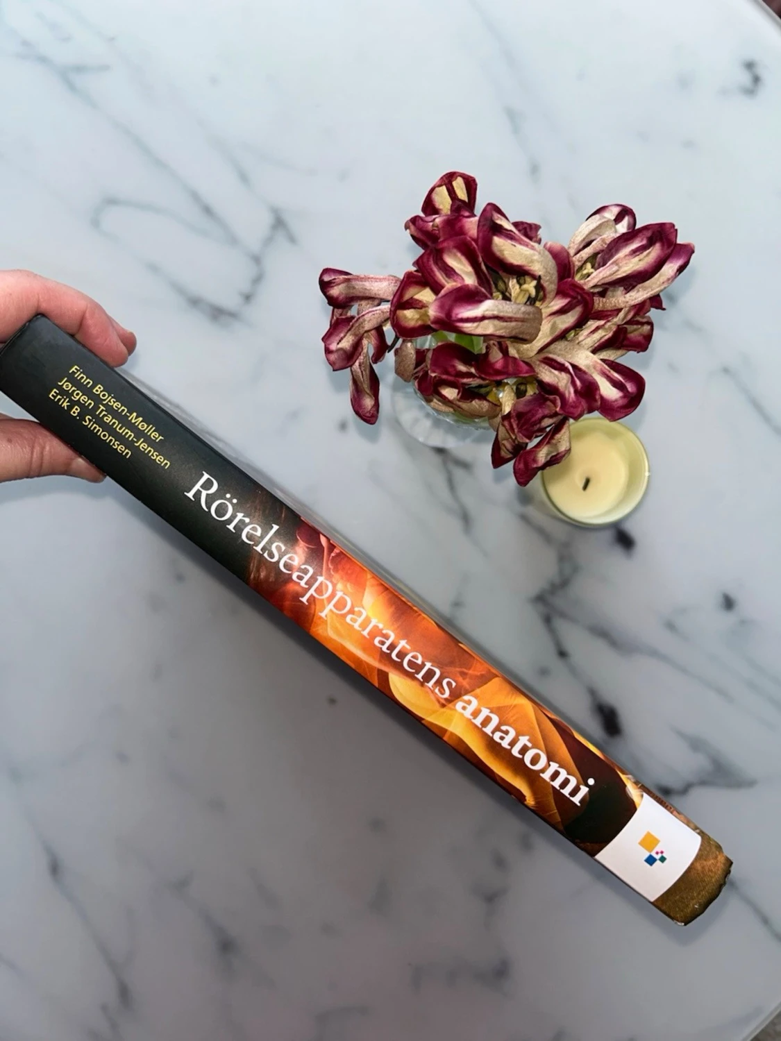 Rörelseapparatens anatomi kursbok - 1