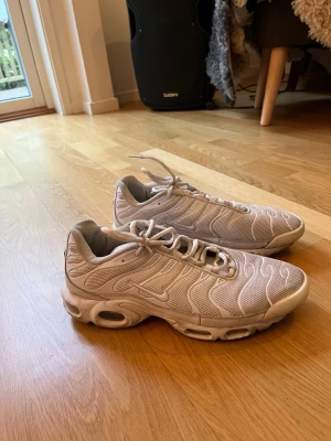 Nike Air Max Tn:S - Säljer ett par Nike Air Max tn s som är i ett okej skick. Storleken är 45. Pris kan diskuteras!
