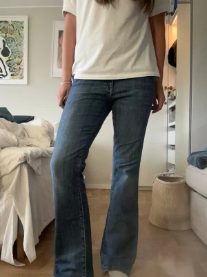 Jeans - Bootcut/straight jeans❤️