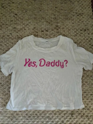 Vit crop top t-shirt med rosa text y2k emo fest  - Vit t-shirtl med trycket 'Yes, Daddy?' i rosa framtill. Modellen är kortärmad och har en avslappnad passform med rund halsringning. Perfekt för dig som vill ha en statement-tee med attityd. En liten fläck på framsidan men kanske går att tvätta 