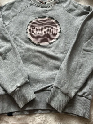 Grå sweatshirt från Colmar - Snygg grå sweatshirt från Colmar. På bilden har den sminkfläck vid halsen med tvättas bort såklart inann jag postar!!