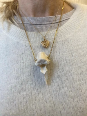 halsband med benhänge -  Kedjan är tunn och elegant, perfekta för att skapa en personlig stil. Passar dig som gillar att sticka ut med accessoarer.