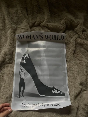 Poster duk med ”Woman's World”  - Säljer en svartvit poster duk med texten 'It's a WOMAN'S WORLD' och 'You're just lucky to be here.' Obs säljer ej med tavelram till utan bara postern/duken. Den är inte gjord av papper utan det är ett ganska tjockt tygaktigt material. Längd: 45 cm bredd: 30 cm