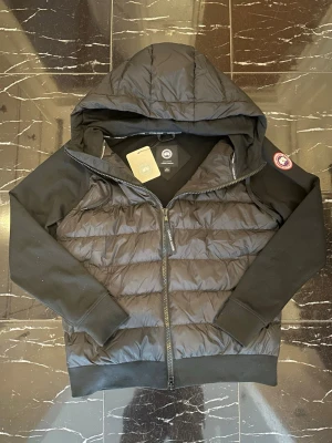 ÄKTA Svart Canada Goose cardigan - Snygg svart pufferjacka från Canada Goose med huva och dragkedja framtill. Jackan har quiltad front och rygg i glansigt material, samt mjuka ärmar och muddar. Klassisk Canada Goose-logga på ärmen. Perfekt för kalla vinterdagar.