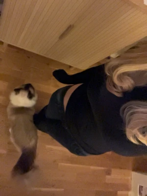 Mörkblå low waist jeans från LTB - Snygga mörkblå low waist jeans med raka ben från Ltb.  Har inga bra bilder tyvärr men skulle säga att dem passar dej som gillar low waisted byxor. Skriv för frågor och skicka gärna prisförslag 