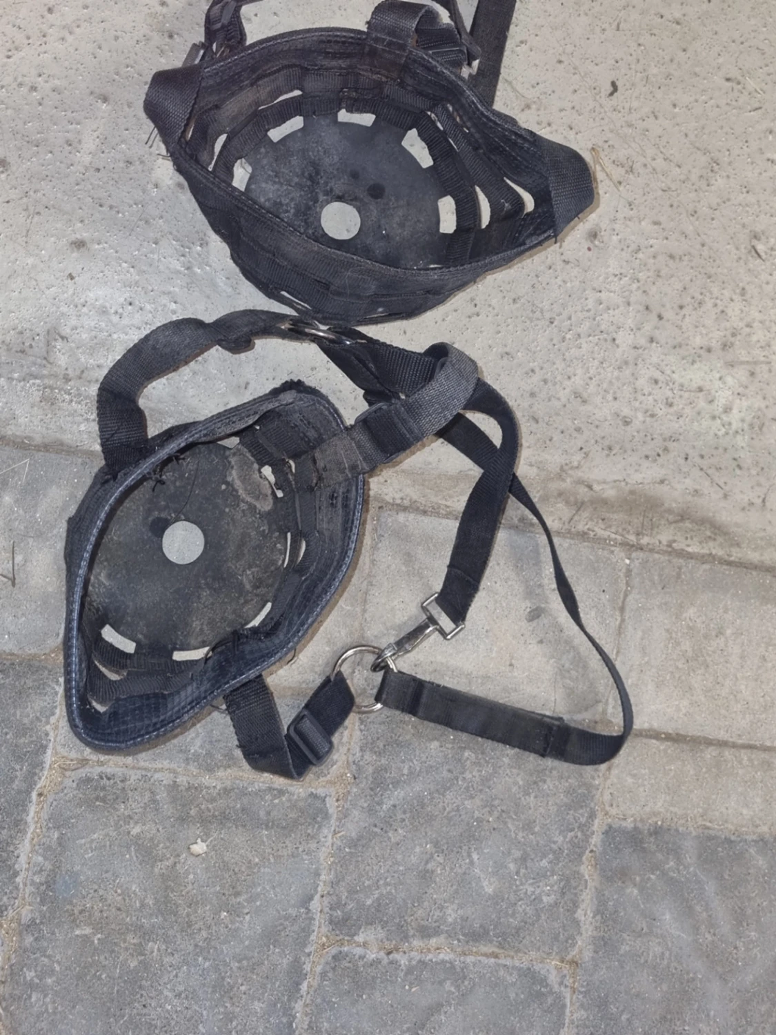 Svarta betesreducerare