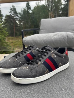 Gucci ace skor - Säljer ett par stilrena Gucci ace skor i riktigt bra skick, storlek 43, box/ dustbag ect ingår. Säljer till ett värt pris då dom bara står och samlar damm hemma.