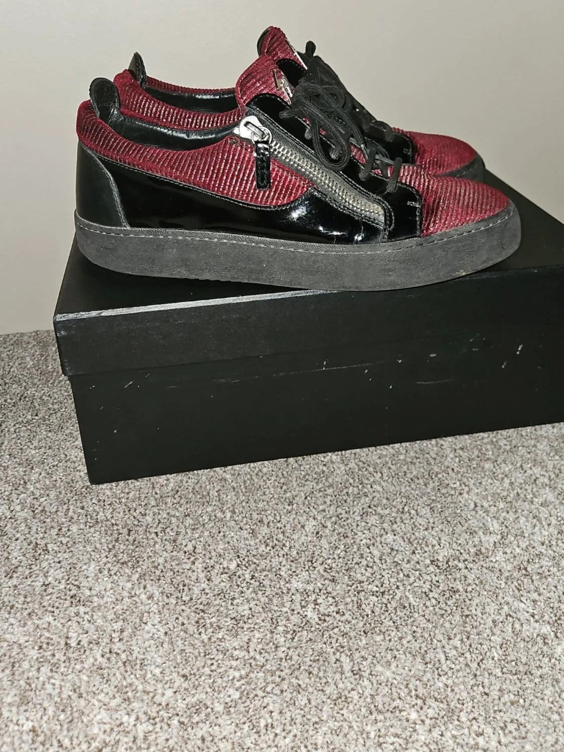 Guiseppe zanotti 2022 limited