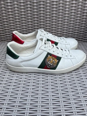 Gucci vita sneakers med tigerbrodyr - Gucci Ace Snake || Storlek 41,5 || Skorna är i bra skick (se bilder) || Tveka inte på att höra av dig vid frågor eller funderingar 
