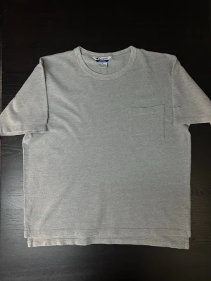 T-shirt  - T-shirt från Champion i grå färg  A106