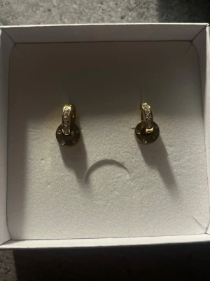 Guld örhänge Edblad - Guld örhängen från Edblad, köpta nyligen så har inte hunnit användas så mycket. 