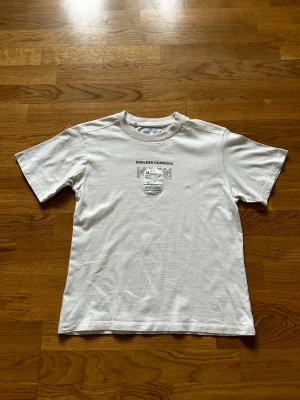 Zara T-shirt  - Tröjan är i helt ok kondition 
