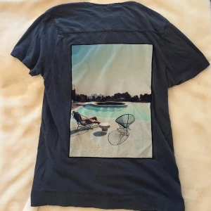 Limitato t-shirt  - Snygg mörkgrå t-shirt från Limitato med ett stort tryck på ryggen som visar en chill poolscen. Tröjan har inga defekter förutom att den är lite urtvättad. Hör av dig vid frågor!