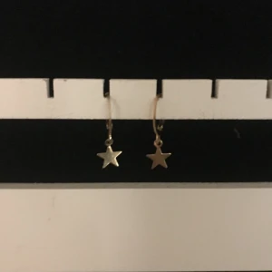 Ett par jätte fina örhängen ✨✨ - Det är ett par jätte fina stjärnörhengen som jag aldrig har använt. Dem kostar 59kr +frakt 