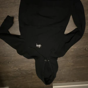 Stusy hoodie - Stussy hoodie sliten p texten bak