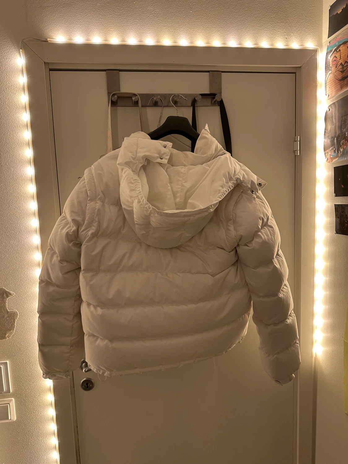 Corvidae Puffer - 90