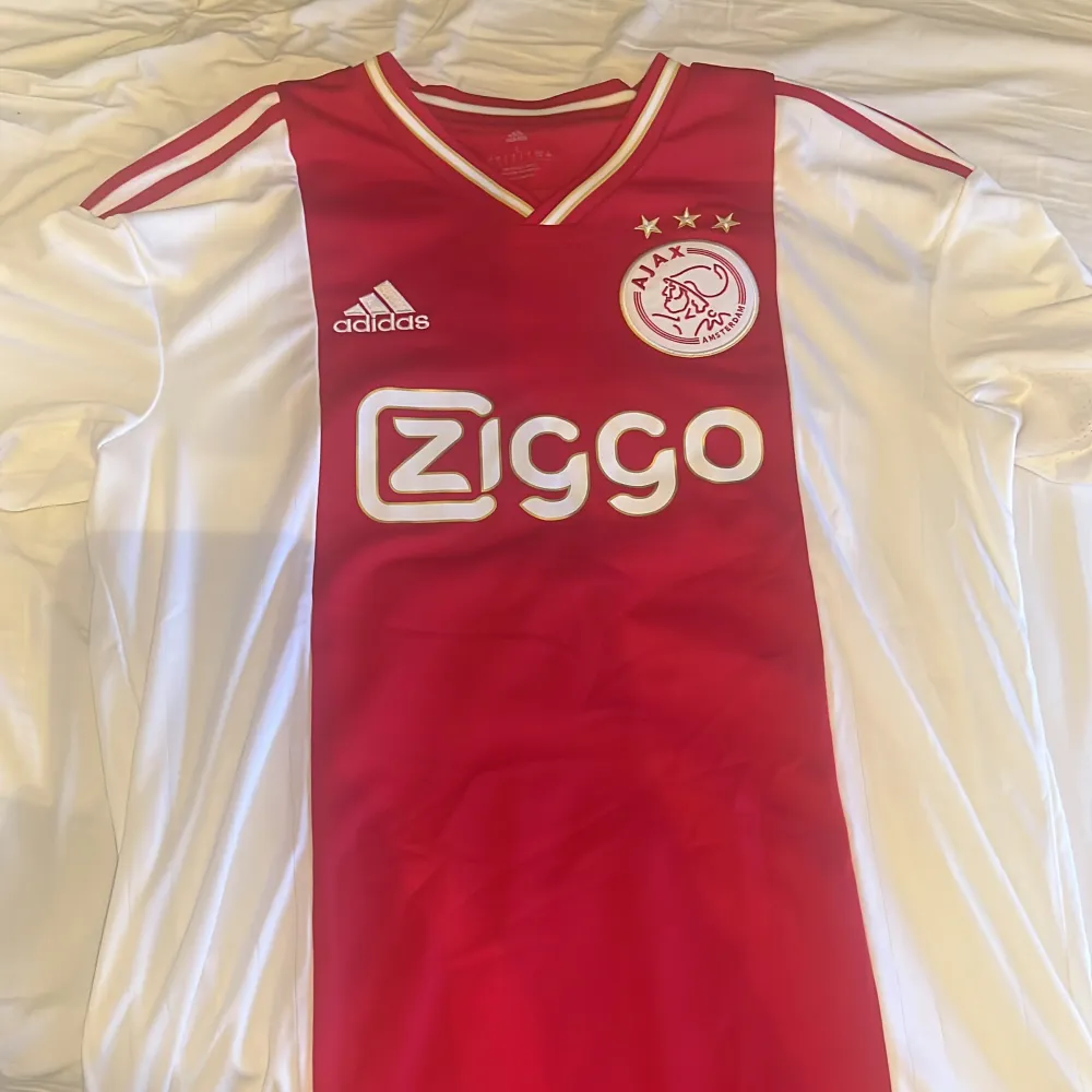 Säljer denna Ajax tröja som inte är använd, med Tadic 10 på ryggen . T-shirts.