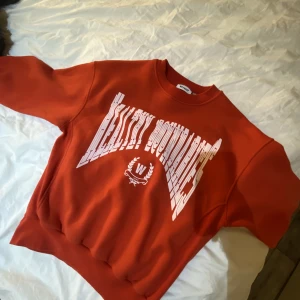 Röd tjocktröja  - Vintage hoodie från Weekday storlek S, fint skick, kontakta för frågor & intresse💕💕