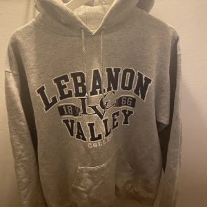 Grå hoodie  - Super cool hoodie från champion köpt på Plick💕 skriv för fler frågor