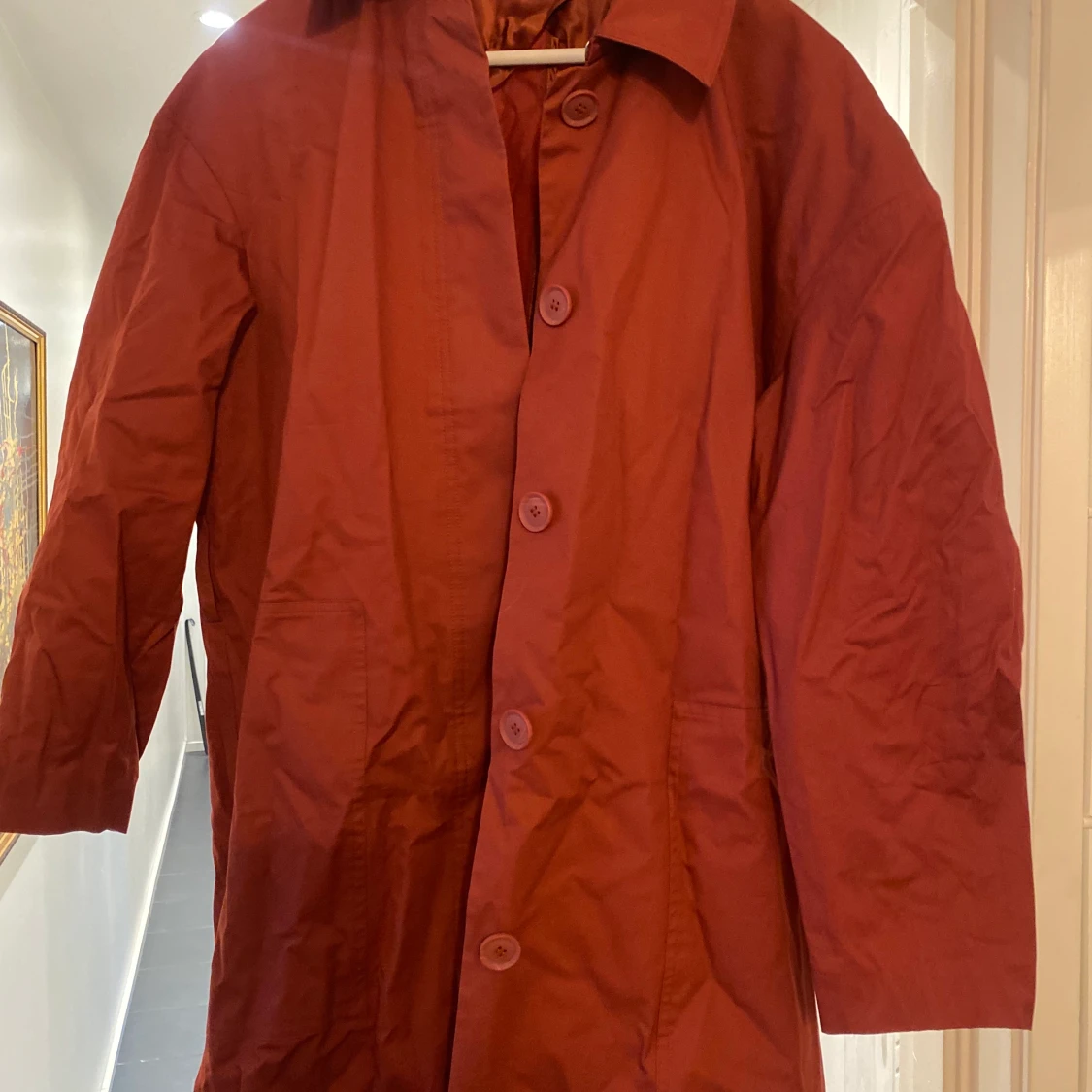 Trenchcoat & Other Stories