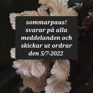 Sommarpaus - Håll dig uppdaterad på min instagram: @benochsten