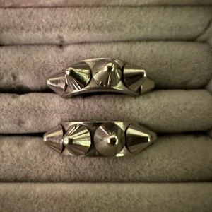 Edblad örhängen  - Ett par super trendiga örhängen från Edblad i super bra skick💗skriv vid intresse eller fler frågor💗 dem tvättas innan säljning 