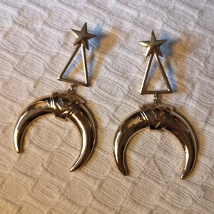 Guldörhängen  - Coola örhängen köpta på plick ✨ Kan postas som brev. 