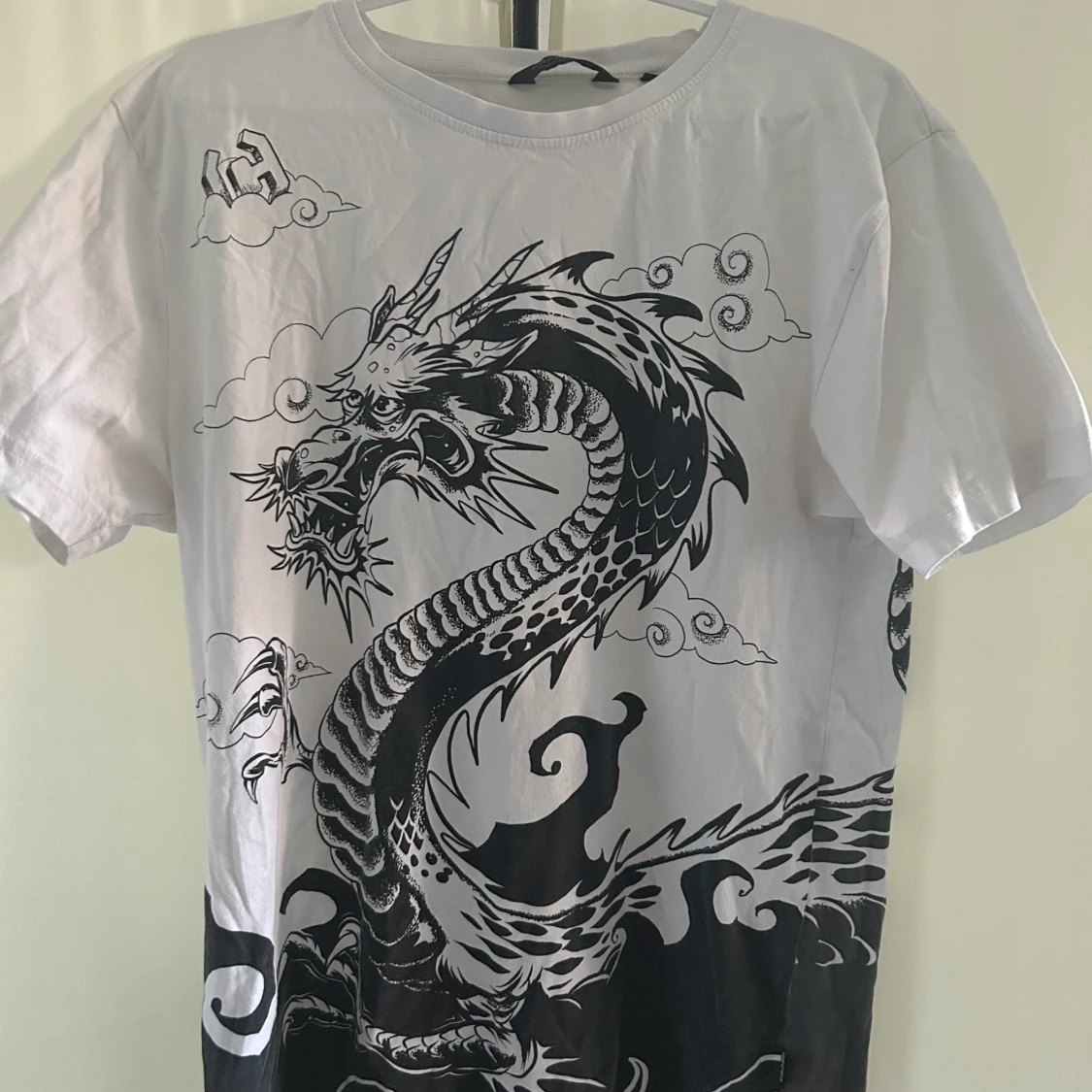Harajuku iversized T-shirt cropp dragon