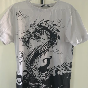 Harajuku iversized T-shirt cropp dragon - Tröjan är i gott skick, egentligen är den mens Size S men det går också bra på M 