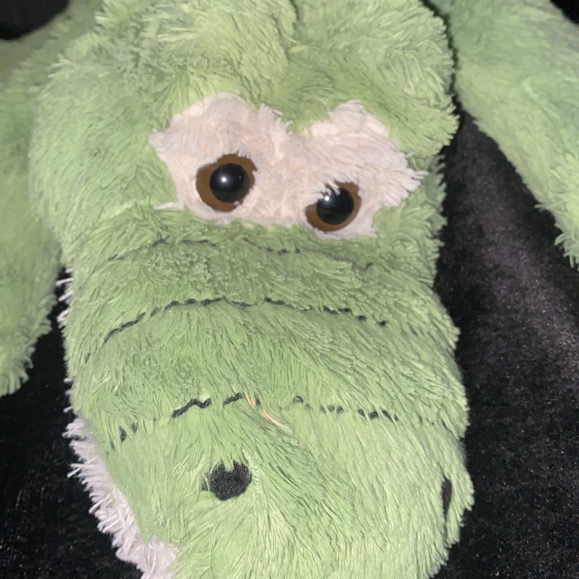 Söker någon djur vakt bara hund och katt 100kr per timme 400kr per dag 