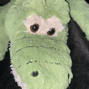 Söker någon djur vakt bara hund och katt 100kr per timme 400kr per dag  - Jag är djur vakt jag är 12 år gammal jag heter perla 