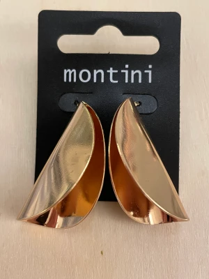 Montini örhängen - Örhängen inköpta som en present för 60kr men passade inte i rätt stil så jag säljer de vidare för 29kr. Helt nya och har inte tagits ut ur sin förpackning.