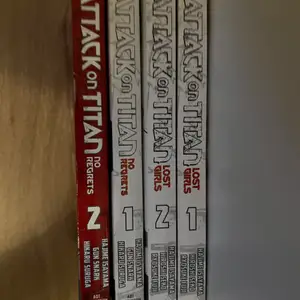 Shipping depends on how much mangas you’ll buy so don’t rely on the price I set, each volume costs 120kr. 