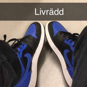 Jätte fina knappt använda  jordans royal blue