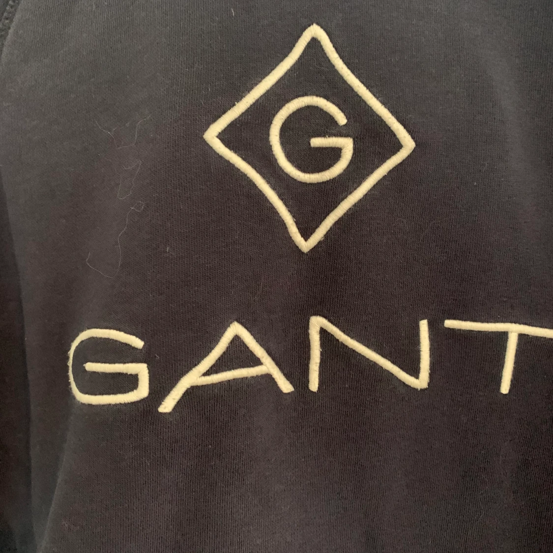 Gant hoddie blå - 91
