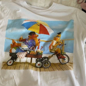 Zara  - Super fin t-shirt i stolek S, använt fåtal gånger. Köpt för typ 150-200kr men säljer för 20kr. Tvättas innan säljning 👍 