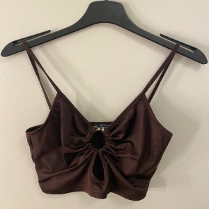 Brun topp - En fin brun topp med fin detalj i mitten. Använd ett fåtal gånger. Säljer pga inte riktigt min stil